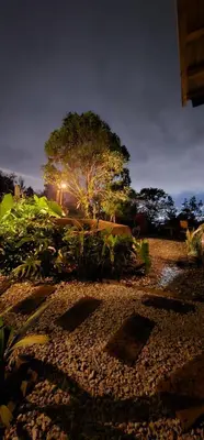 a garden with a tree and a street light at Glamping Eros in Medellín