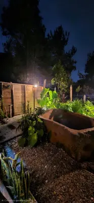 a garden with plants and a fence at night at Glamping Eros in Medellín
