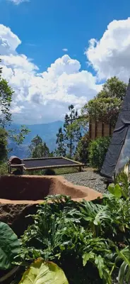 a garden with some plants in the dirt at Glamping Eros in Medellín
