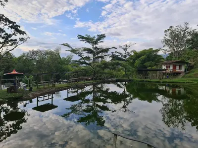a reflection of a tree in a pond at Aldea Los Pioneros in Venecia