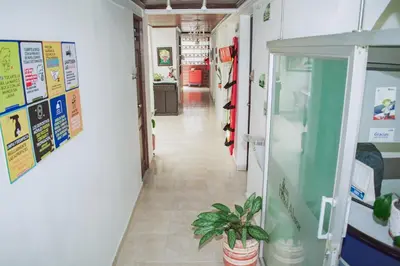a corridor of a hospital with a potted plant at Hostel North SAS in Medellín