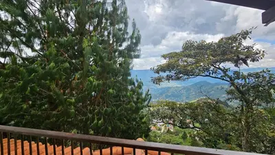 a view of a tree from a balcony at Aitana Mágica in Copacabana