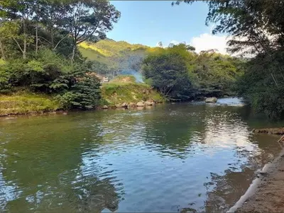 a river with green water and trees in the background at WalApar in San Rafael