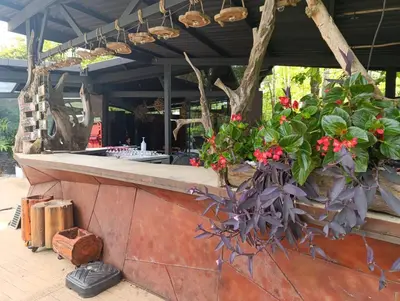 an outdoor bar with flowers and plants at Madeira Majestic Hotel in Doradal