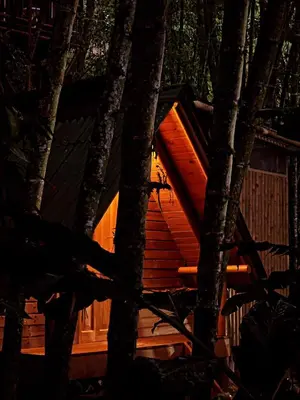 a tree house in the middle of some trees at La Chorrera ecohotel in Cocorná