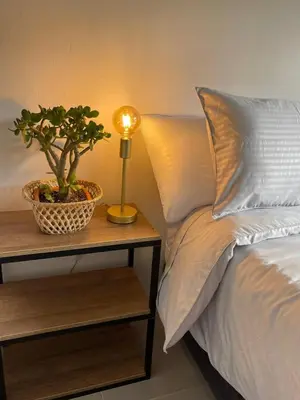 a bed with a lamp and a plant on a night stand at Santa Elena casa pino in Medellín