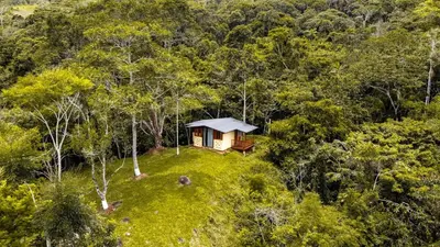 a house on a hill in the middle of a forest at Pure San Carlos Nature Reserve Bio Cabin