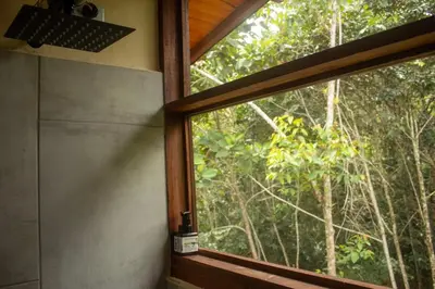 a window in a room with a view of a forest at Pure San Carlos Nature Reserve Bio Cabin