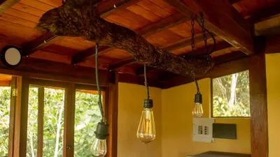 a room with several lights hanging from the ceiling at Pure San Carlos Nature Reserve Bio Cabin