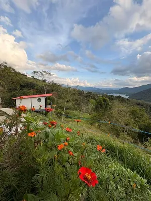 a field of flowers with a smallshed in the background at Chocochucho Agroecoturismo in Amalfi