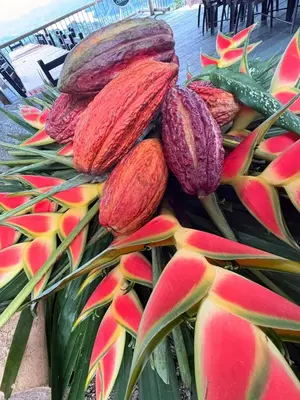 a pile of fruit sitting on top of a plant at Chocochucho Agroecoturismo in Amalfi