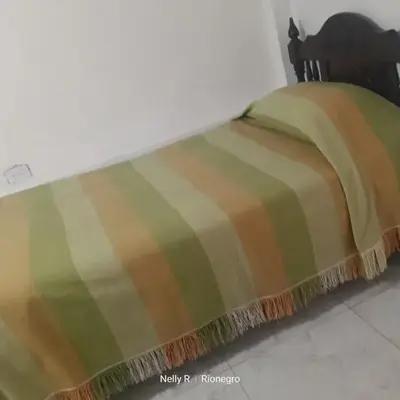 Alojamiento Ríonegro