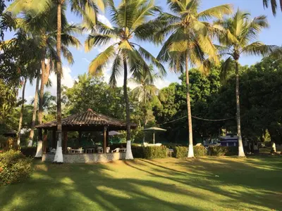 a gazebo with palm trees in a park at La Cornalina in Santa Fe de Antioquia