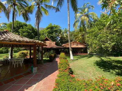a resort with palm trees and a garden with a patio at La Cornalina in Santa Fe de Antioquia