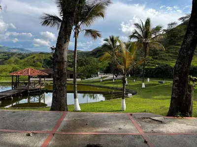 a park with palm trees and a dock and a lake at Finca El Saladero in Ebéjico