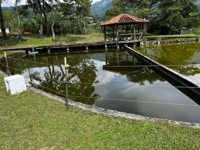 a pond with a gazebo in a park at Finca El Saladero in Ebéjico