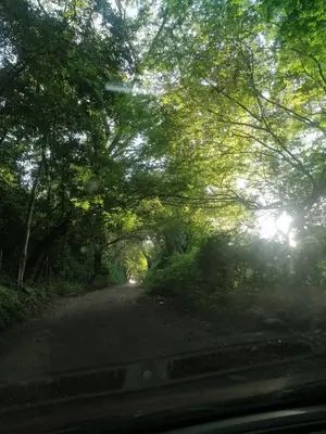 a view of a road with trees on the side at Casa Goleta in Honda