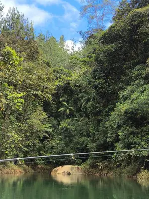 a suspension bridge over a river in a forest at Casa Finca cerca al embalse Jaguas San Roque Antioquia
