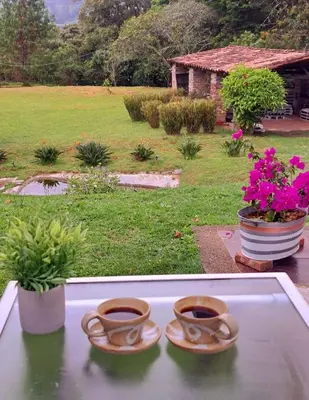 two pots of flowers sitting on a window sill at Casa Refugio in Envigado