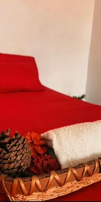 a basket of flowers and towels on a bed at Casa de Colores in Guatapé