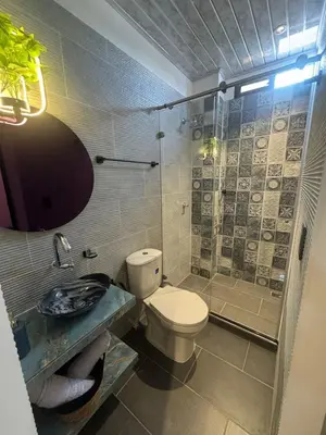 a bathroom with a toilet and a shower at aparta hotel del toro in Puerto Triunfo