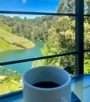 a cup of coffee sitting in a window with a view of a river at Agua Santa Ecolodge in Guatapé