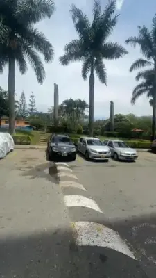 three cars parked in a parking lot with palm trees at Camino de los Vientos in Bello