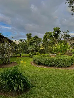 a garden with green grass and bushes and trees at Hacienda La Amalia in Venecia