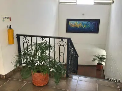 a staircase with two plants and a painting on the wall at Monteverde Hotel in La Dorada