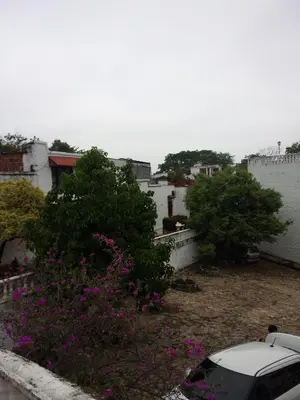 a view of a yard with pink flowers and trees at Cabaña Familiar La Aldea Doradal in Gesen