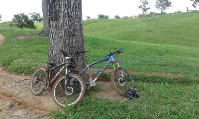 two bikes are parked next to a tree at Cabaña Familiar La Aldea Doradal in Gesen