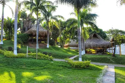 a resort with palm trees and grass huts at Hotel Villa Camila in La Pintada