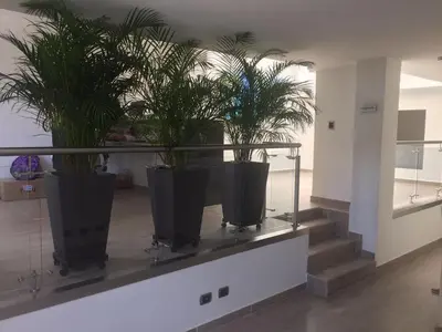 a row of potted plants on display in a lobby at Hotel Jardin de Laureles Jeps in Medellín
