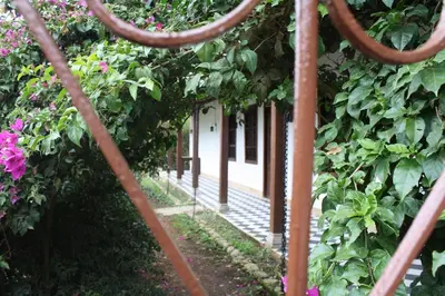 a view of a garden through a metal fence at Casa Santamaria Hotel Campestre in Jericó