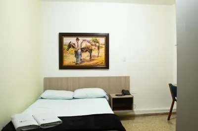 a room with a bed with a painting on the wall at Hotel Caldas Plaza in Caldas