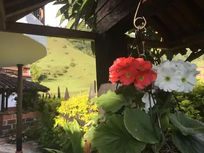 a bunch of red and white flowers in a garden at Casa Hotel Portón Campestre in Jardin
