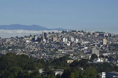 a view of a city with buildings and trees at Golden Frog Manizales in Manizales