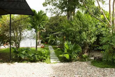 a garden with a pathway with plants and an umbrella at Casamarilla in Mariquita