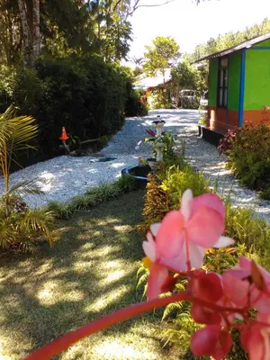 a garden with a pink flower in the foreground at Cabañas La Honda in Guatapé