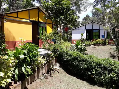 a house with a yellow at Cabañas La Honda in Guatapé