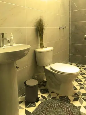 a bathroom with a toilet and a sink at La Casa Del Sol in Jardin