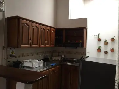 a kitchen with wooden cabinets and a black refrigerator at Fami Hotel Vive Jardin in Jardin