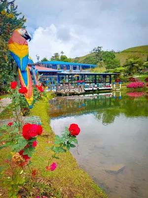 a colorful kite sitting next to a body of water at Hotel Lago Valdivia in Jardin
