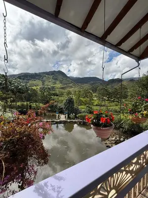 a view from a balcony with flowers and a pond at Hotel Lago Valdivia in Jardin