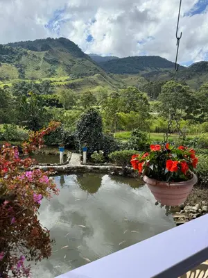 a view of a pond with flowers in a garden at Hotel Lago Valdivia in Jardin