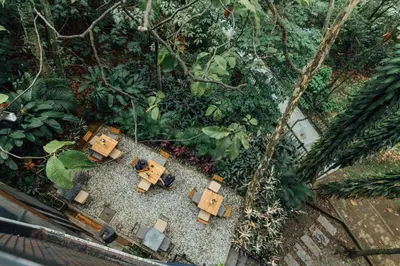 an overhead view of a garden with a group of things at Rango Hostel Boutique in Medellín