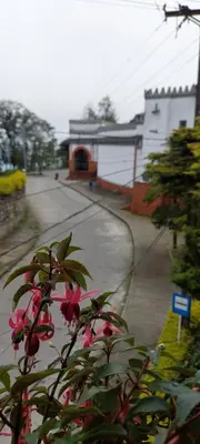 a sidewalk with pink flowers in front of a building at Hotel La Castellana in Manizales