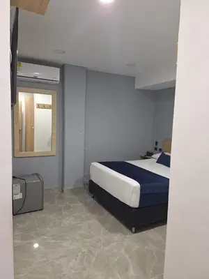 a bedroom with a king sized bed and a mirror at Hotel Suramericana in Medellín