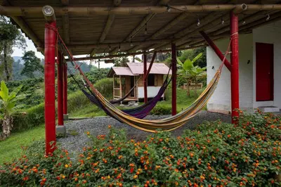 a hammock hanging from a building in a garden at Hacienda Venecia Hostel in Manizales