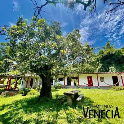 a picnic table under a tree in front of a building at Hacienda Venecia Hostel in Manizales